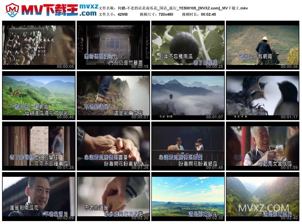 何鹏-不老的还是南瓜花_国语_流行_YE500105